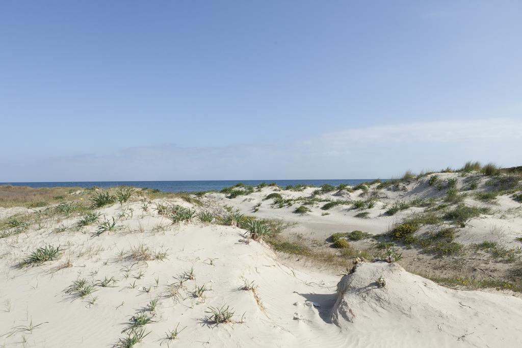 Spiaggiabella Beach Hotel Del Silenzio By Ria Hotels Torre Rinalda Exterior photo