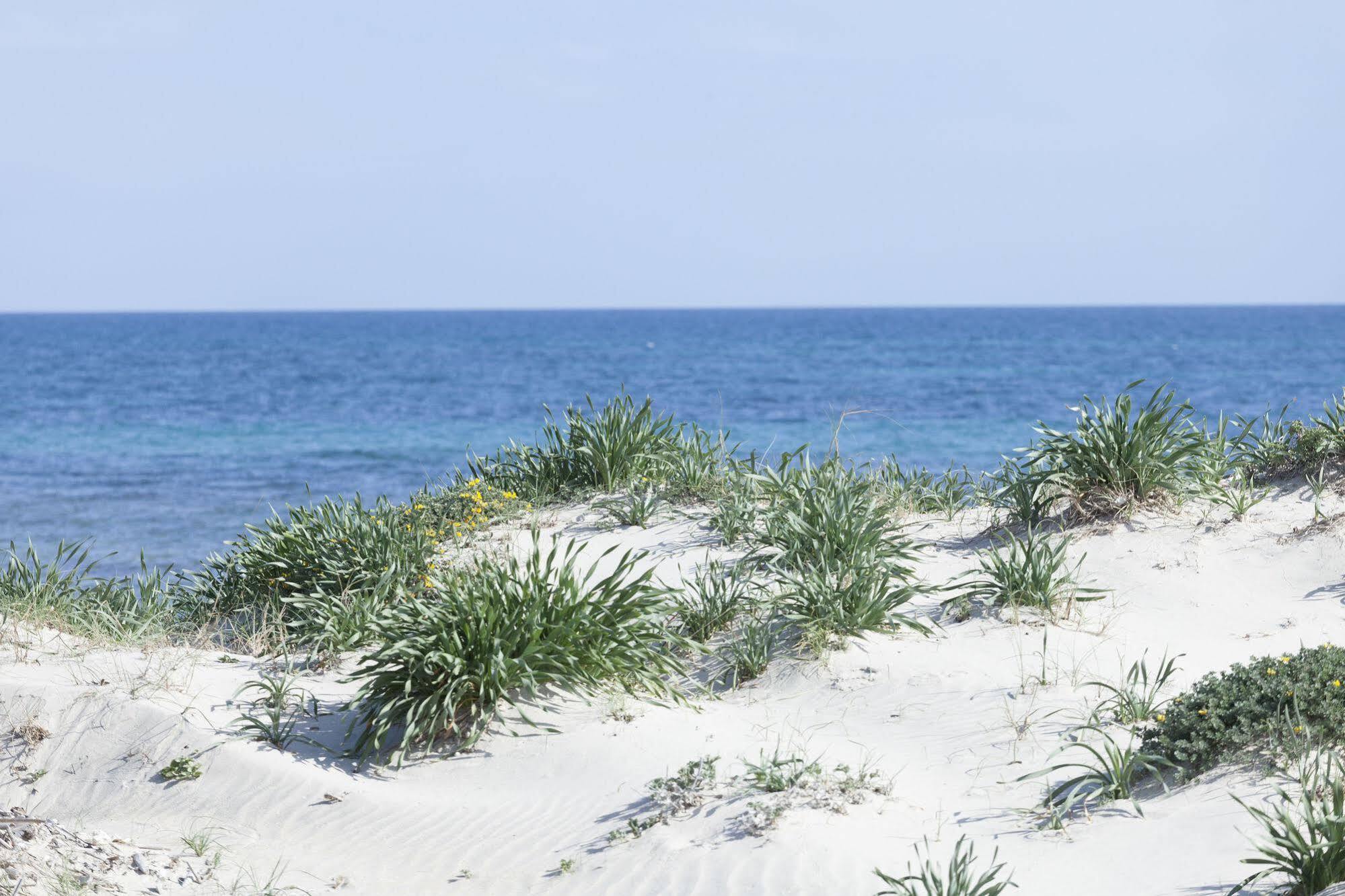 Spiaggiabella Beach Hotel Del Silenzio By Ria Hotels Torre Rinalda Exterior photo